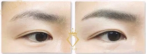 3D仿真雾眉